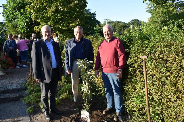 Baumpflanzchallenge 2025